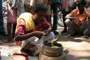 Balu
