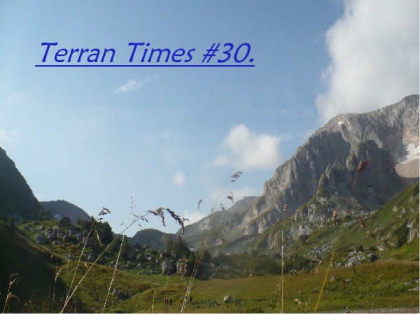 Terran Times #30
