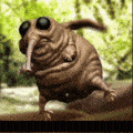 star_bug