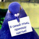 Ratmir