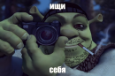 Shrek