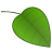 Revizor