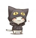 Minikotik