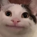 lol2