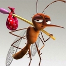 mosquito7
