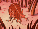 Parasitoa
