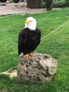 Kopernikus