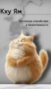 Pushistikdada