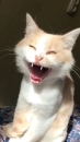 2590