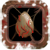 Xerj`s capital key (BuGLifE)